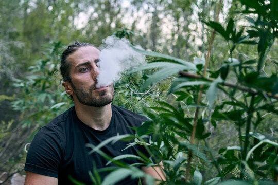 E cigi bolt la mejor tienda para encontrar cigarrillos electronicos parquesur y ofertas exclusivas